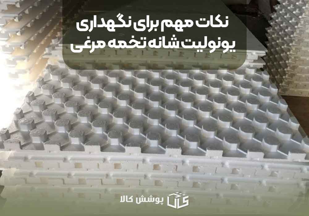 نکات مهم برای نگهداری یونولیت شانه تخمه مرغی