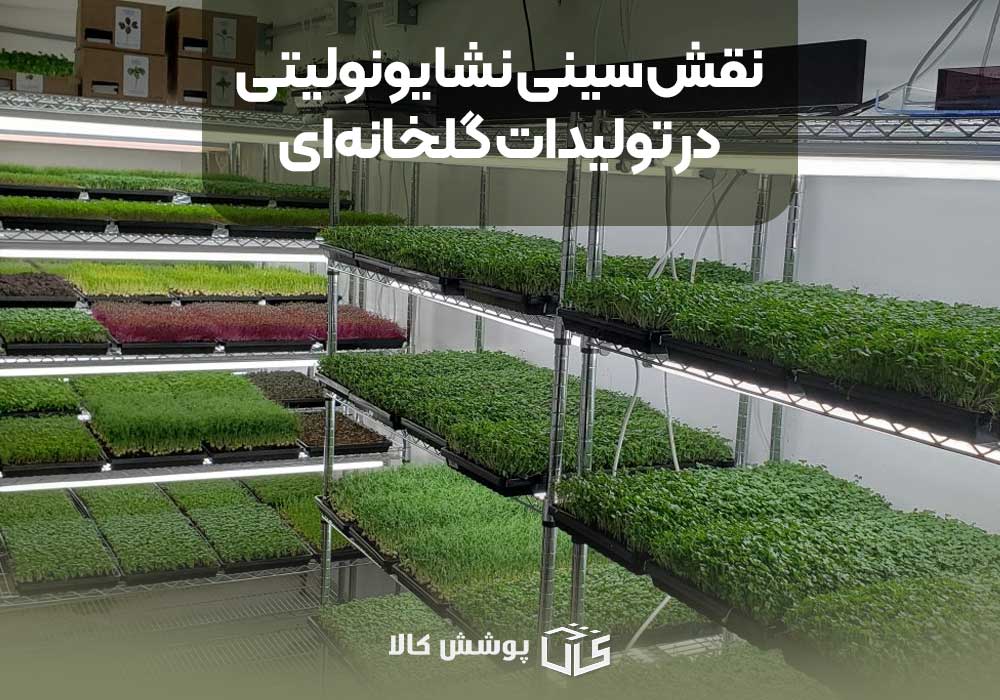 نقش سینی نشا یونولیتی در تولیدات گلخانه‌ای